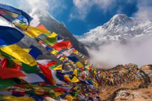 Nepal Tour Package