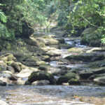 Cherrapunji